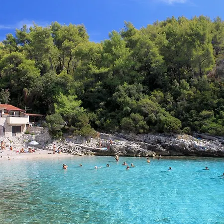 Tatil Evi Holiday Zavalatica 4459