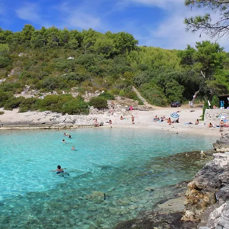 Holiday Zavalatica 4459 Čara